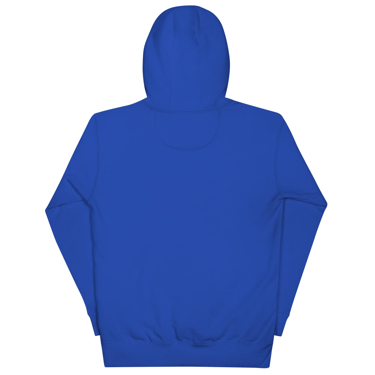 No Kings Embroidered Hoodie, Blue