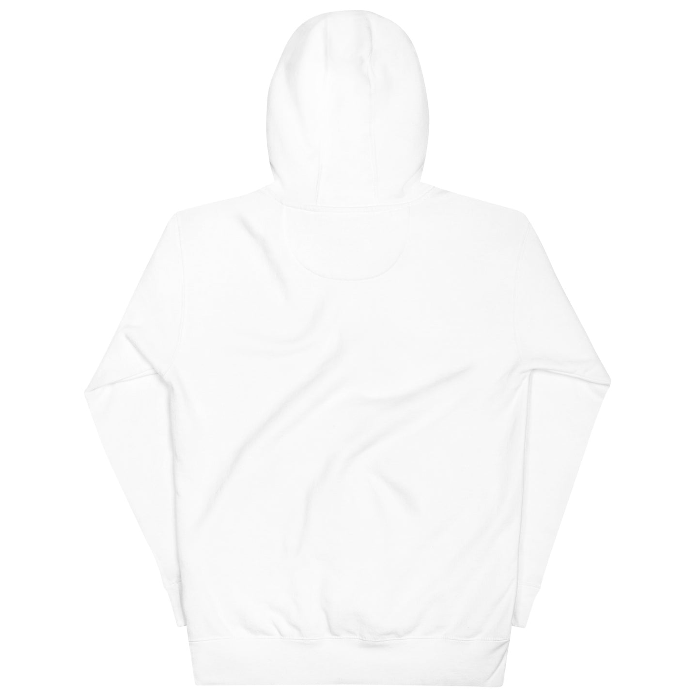 No Kings Embroidered Hoodie, White